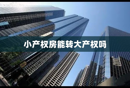 小产权房能转大产权吗