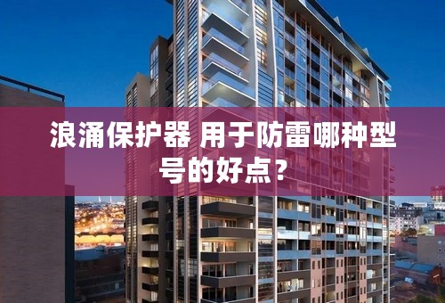 浪涌保护器 用于防雷哪种型号的好点？
