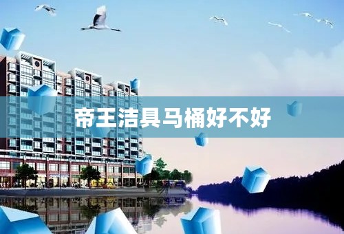 帝王洁具马桶好不好