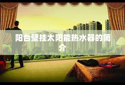 阳台壁挂太阳能热水器的简介