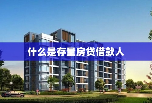 什么是存量房贷借款人