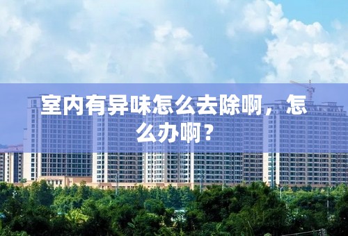 室内有异味怎么去除啊，怎么办啊？