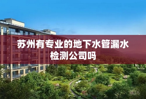 苏州有专业的地下水管漏水检测公司吗