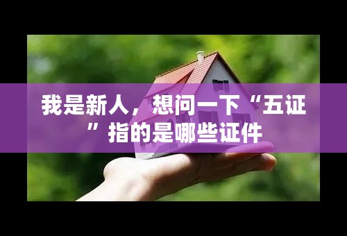 我是新人，想问一下“五证”指的是哪些证件