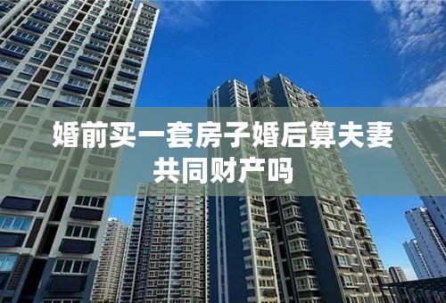 婚前买一套房子婚后算夫妻共同财产吗