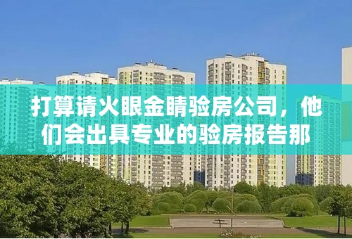 打算请火眼金睛验房公司，他们会出具专业的验房报告那这报告有法律依据吗，如果开发商不配合整改怎么办。