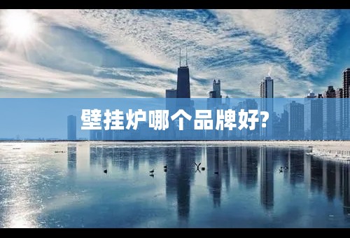 壁挂炉哪个品牌好?