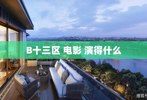 B十三区 电影 演得什么