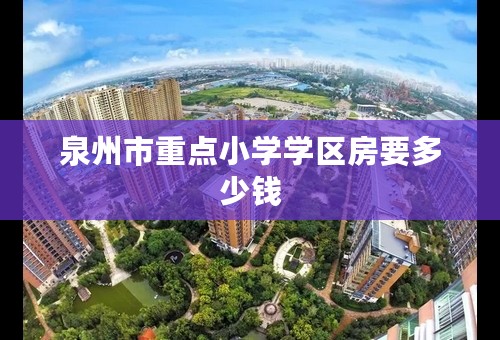 泉州市重点小学学区房要多少钱