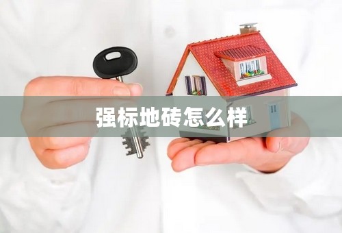 强标地砖怎么样
