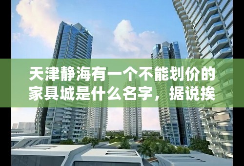 天津静海有一个不能划价的家具城是什么名字，据说挨着县政府不远