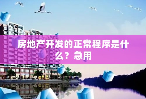 房地产开发的正常程序是什么？急用