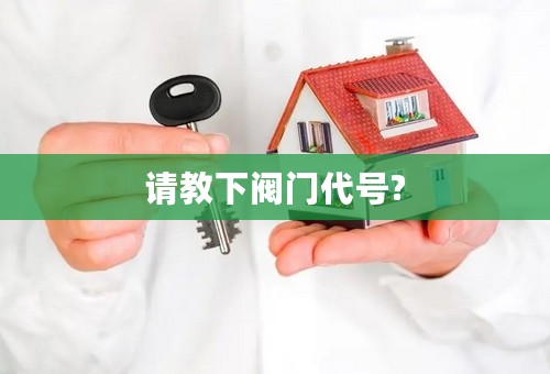 请教下阀门代号?