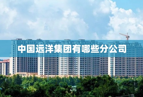 中国远洋集团有哪些分公司