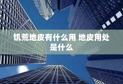 饥荒地皮有什么用 地皮用处是什么