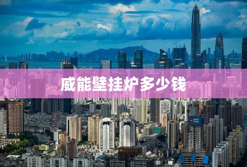威能壁挂炉多少钱