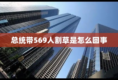 总统带569人割草是怎么回事