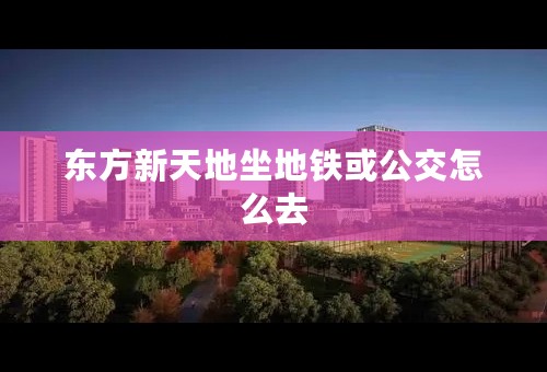 东方新天地坐地铁或公交怎么去