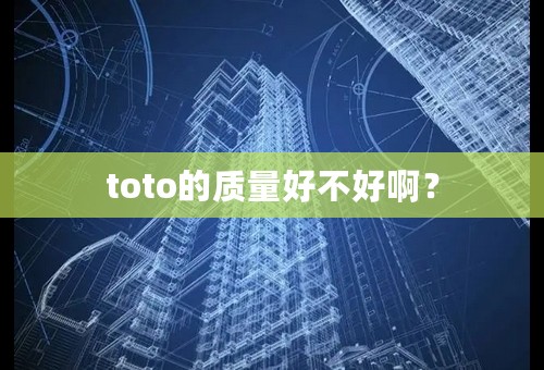 toto的质量好不好啊？