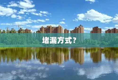 堵漏方式？