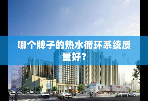 哪个牌子的热水循环系统质量好？