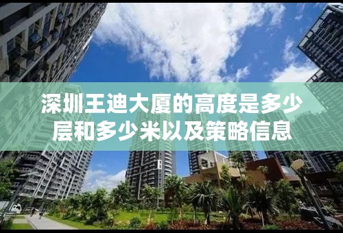 深圳王迪大厦的高度是多少层和多少米以及策略信息