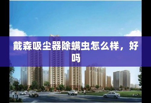 戴森吸尘器除螨虫怎么样，好吗
