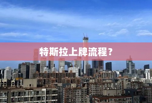 特斯拉上牌流程？