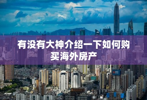 有没有大神介绍一下如何购买海外房产