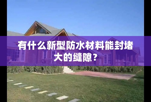 有什么新型防水材料能封堵大的缝隙？