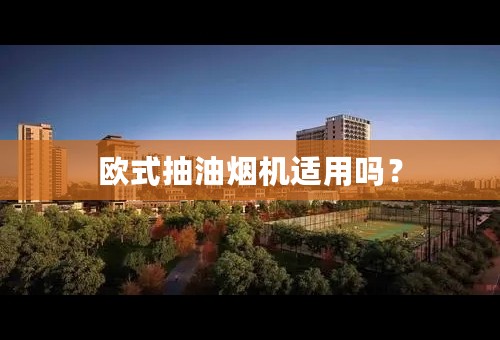 欧式抽油烟机适用吗？