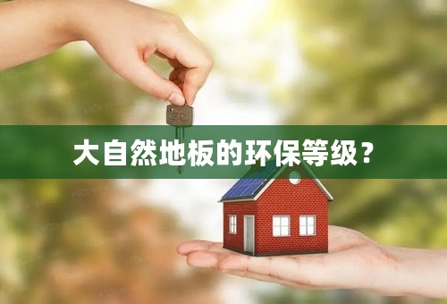 大自然地板的环保等级？