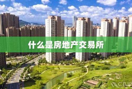 什么是房地产交易所