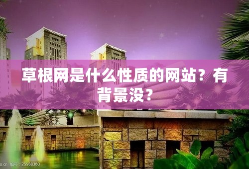 草根网是什么性质的网站？有背景没？