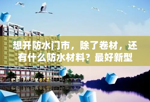 想开防水门市，除了卷材，还有什么防水材料？最好新型防水材料。