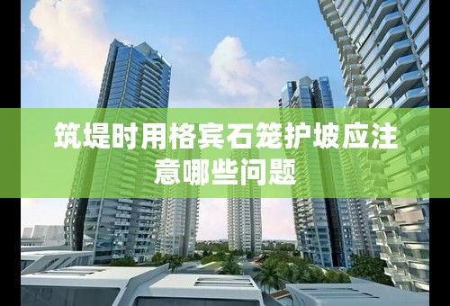 筑堤时用格宾石笼护坡应注意哪些问题