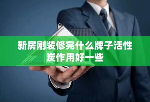 新房刚装修完什么牌子活性炭作用好一些