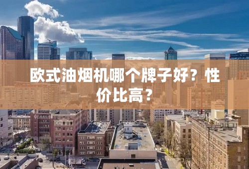 欧式油烟机哪个牌子好？性价比高？