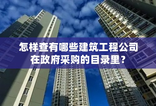怎样查有哪些建筑工程公司在政府采购的目录里？