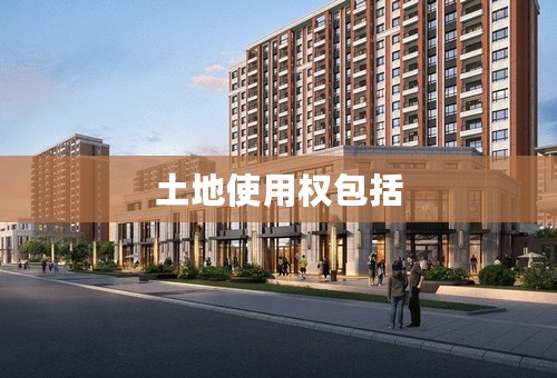 土地使用权包括