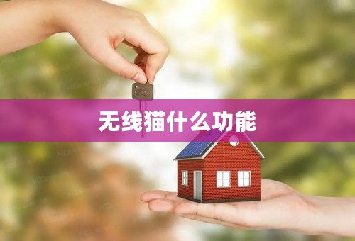 无线猫什么功能