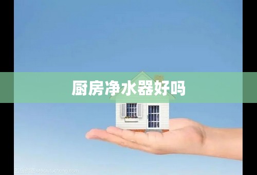 厨房净水器好吗