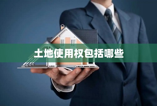 土地使用权包括哪些