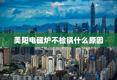 美阳电磁炉不检锅什么原因