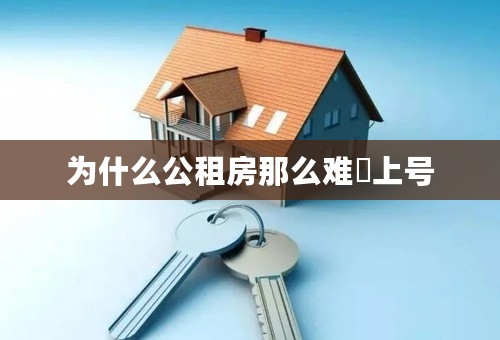 为什么公租房那么难揺上号