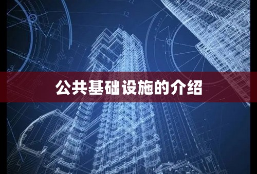 公共基础设施的介绍