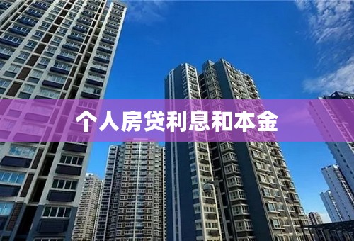 个人房贷利息和本金