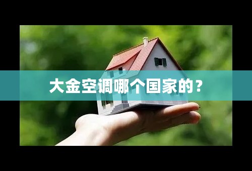 大金空调哪个国家的？