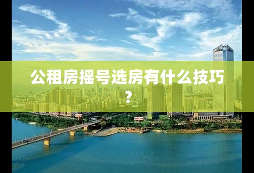 公租房摇号选房有什么技巧？