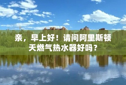 亲，早上好！请问阿里斯顿天燃气热水器好吗？